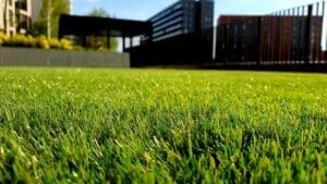 Weed Control SE Calgary