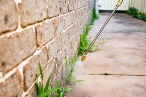 Preventing Weeds in Your Garden with Grass Gators